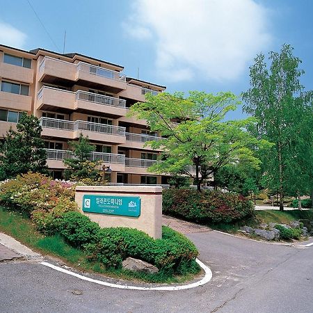 Yongpyong Resort Villa Condominium Пхьончхан Екстер'єр фото