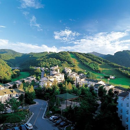 Yongpyong Resort Villa Condominium Пхьончхан Екстер'єр фото